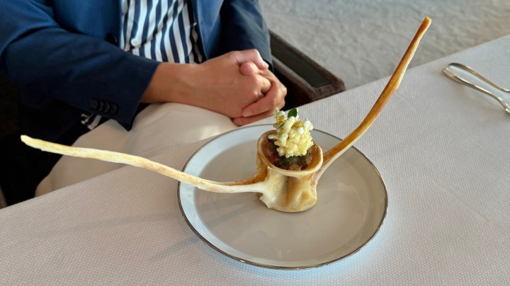 A creative dish presented on a plate, featuring a unique presentation with a bone structure and garnished with small decorative elements, accompanied by a person in a blue blazer holding their hands together.