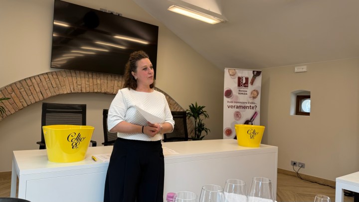 A woman presenting information in a tasting room, standing in front of a table with wine glasses and a yellow bucket, with a monitor and stone wall in the background.