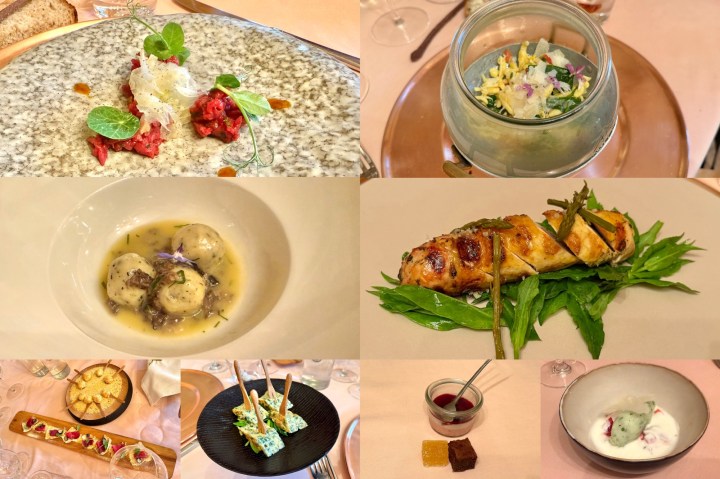 A beautifully arranged gourmet meal featuring various dishes, including a meat tartare with herbs, a seafood salad, stuffed dumplings in broth, a grilled fish dish, assorted desserts, and a sorbet in a bowl.