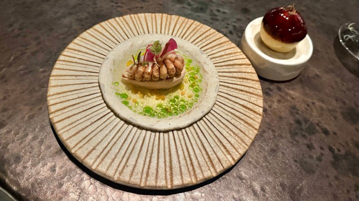A beautifully arranged dish showcasing a delicate seafood preparation, garnished with vibrant herbs and served on a textured plate, accompanied by a small dessert in the background.