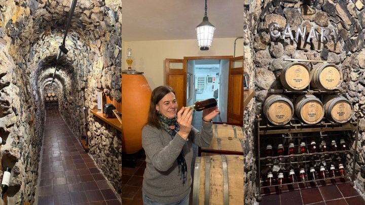 A stone-walled wine cellar with a long corridor lined with barrels.