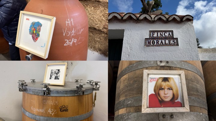 An artistic framed portrait on a terracotta container labeled 'H1 Vodeo 26/19'.