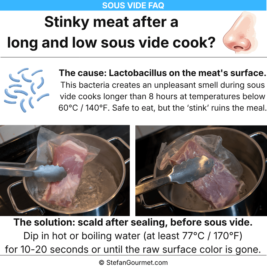 Image illustrating a sous vide FAQ, focusing on issues with stinky meat caused by Lactobacillus bacteria during long cooking times. It includes solutions such as scalding meat before sealing and sous vide cooking.