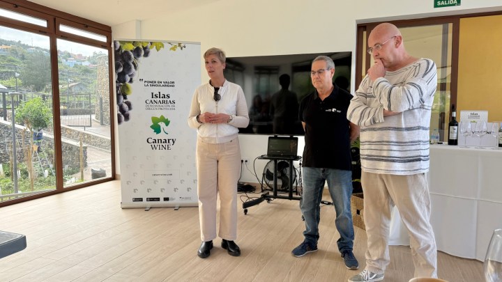 Three individuals speaking at an event, with a banner for 'Islas Canarias' and 'Canary Wine' visible in the background.