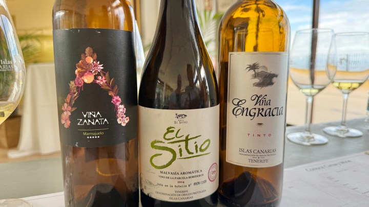 Three bottles of wine on a table with glasses in the background. The labels include 'Viña Zanata', 'El Sitio', and 'Viña Engracia', highlighting their origins from Islas Canarias.