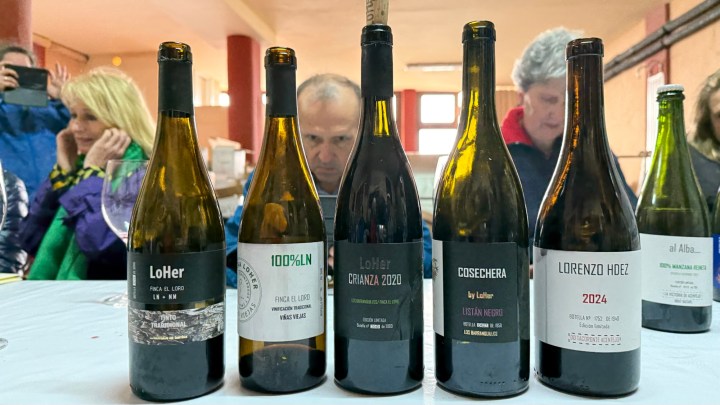 A selection of wine bottles displayed on a table, featuring labels such as LoHer, 100%LN, LoHer Crianza 2020, Cosechera by LoHer, Lorenzo Hdez 2024, and al Alba. People are seated in the background, engaged in conversation.