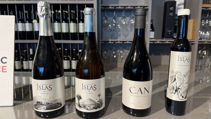 Four bottles of wine displayed on a countertop, featuring labels that read 'Islas' and 'Can'. The bottles include a sparkling wine, a white wine, and two red wines. The background has an assortment of wine bottles and glassware.
