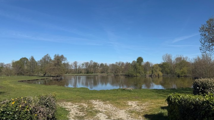 A serene landscape featuring a calm pond surrounded by lush greenery and trees under a clear blue sky.